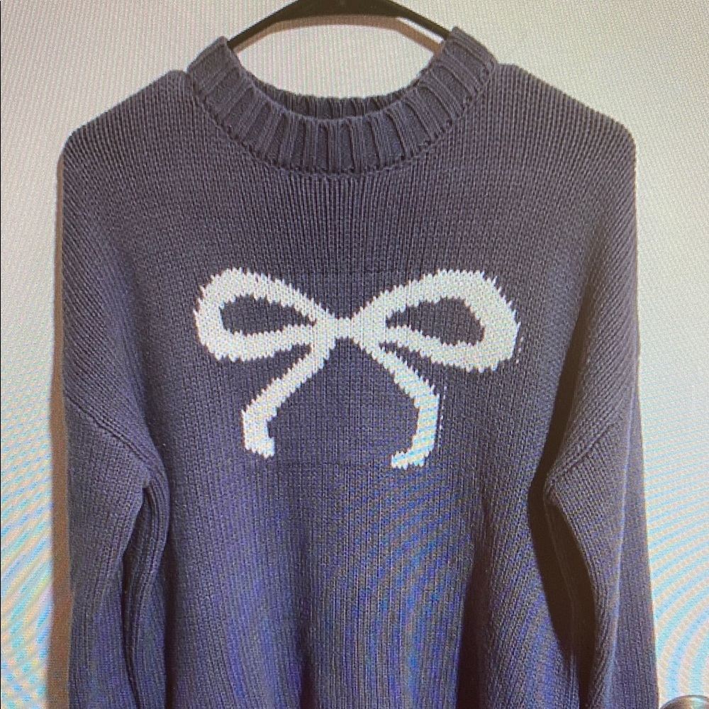 Sincerely Jules Blue and White Crew Neck Sweater with Bow Design